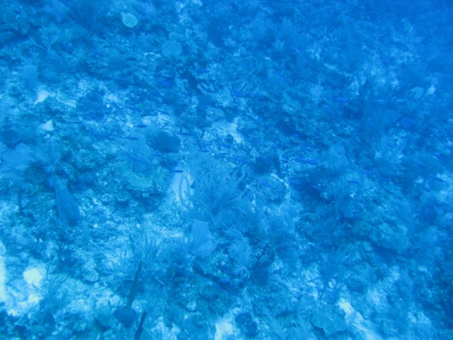 img_1363.jpg