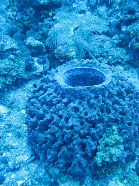 img_1371.jpg