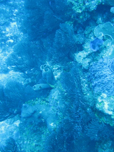 img_1386.jpg