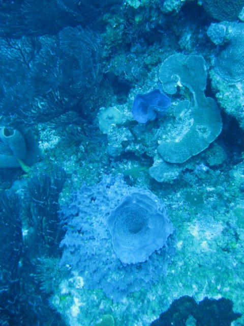 img_1387.jpg