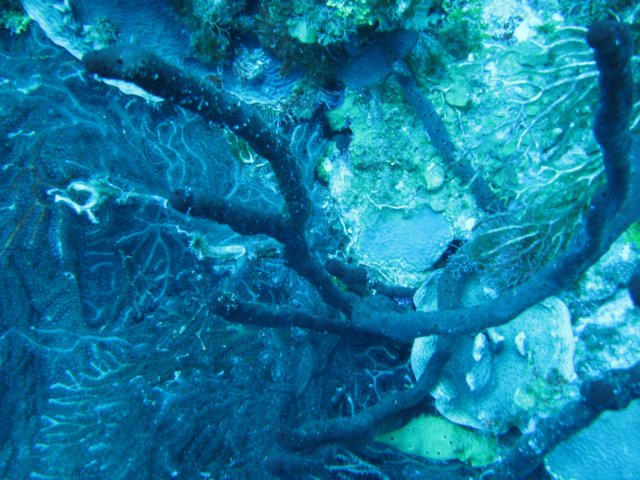 img_1394.jpg