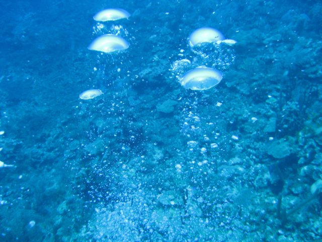 img_1406.jpg