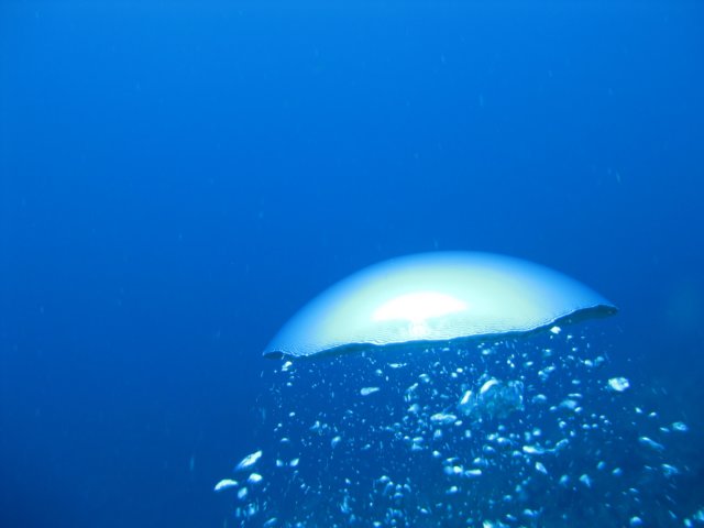 img_1408.jpg