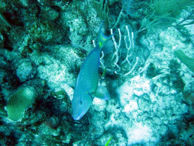 img_1592a.jpg