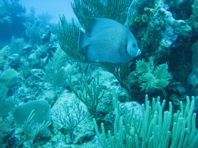 img_1628.jpg