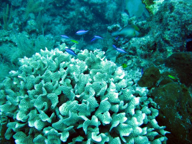 img_1636a.jpg