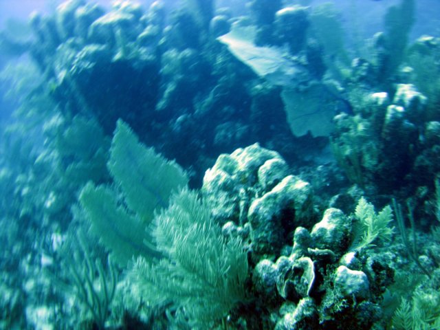 img_1643a.jpg