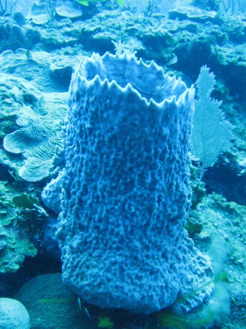 img_2370.jpg