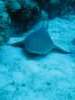 img_2386_small.jpg