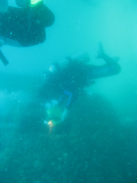 img_2387.jpg
