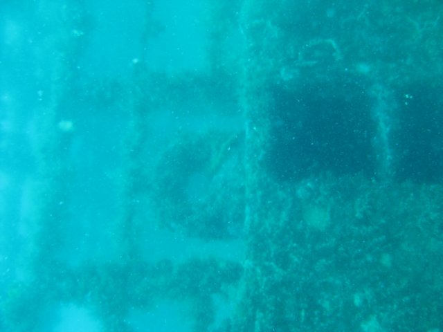 img_2391.jpg