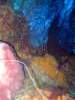 img_2424a_small.jpg