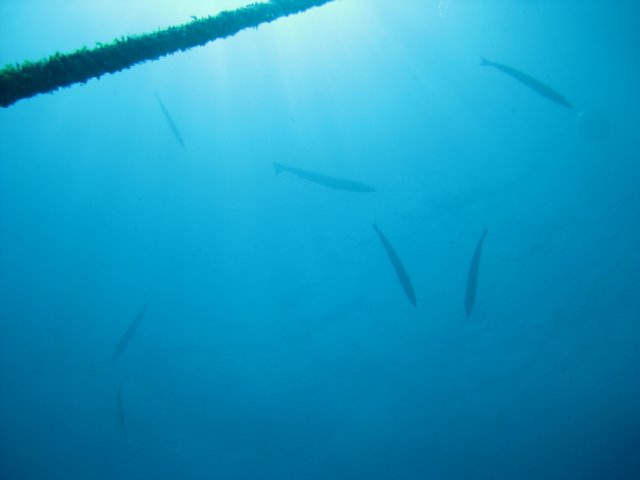 img_2475.jpg