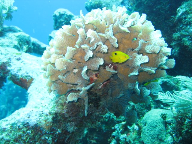 img_2925.jpg