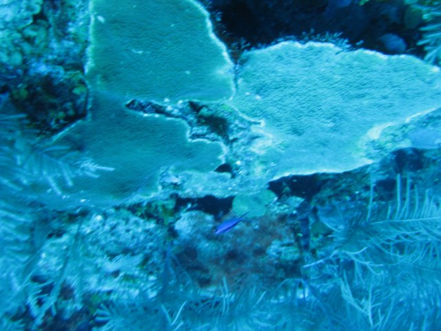 img_3275.jpg