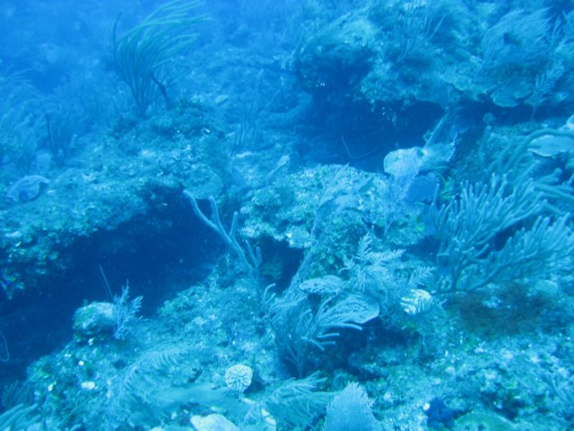 img_3276.jpg