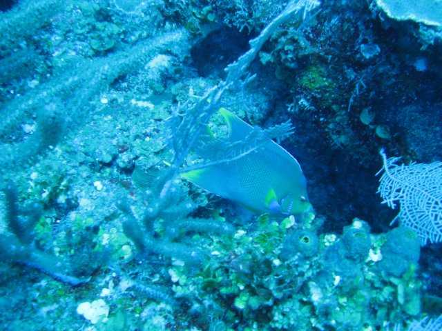 img_3279.jpg