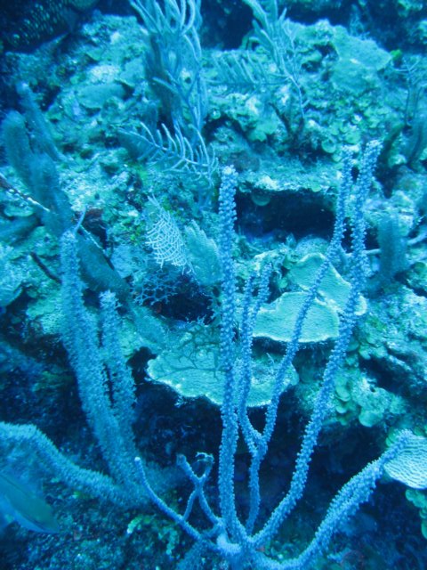 img_3295.jpg