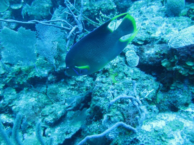 img_3304.jpg