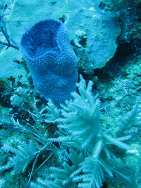 img_3312.jpg