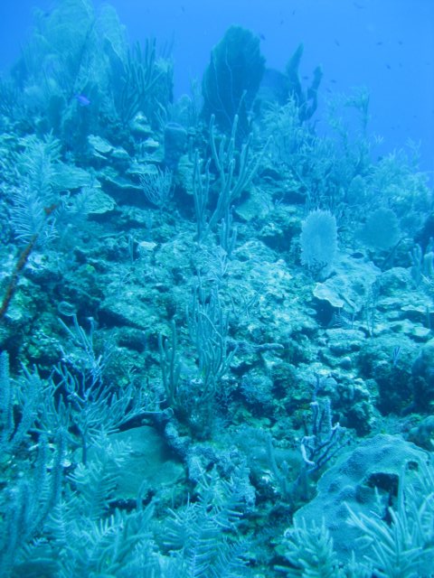 img_3314.jpg