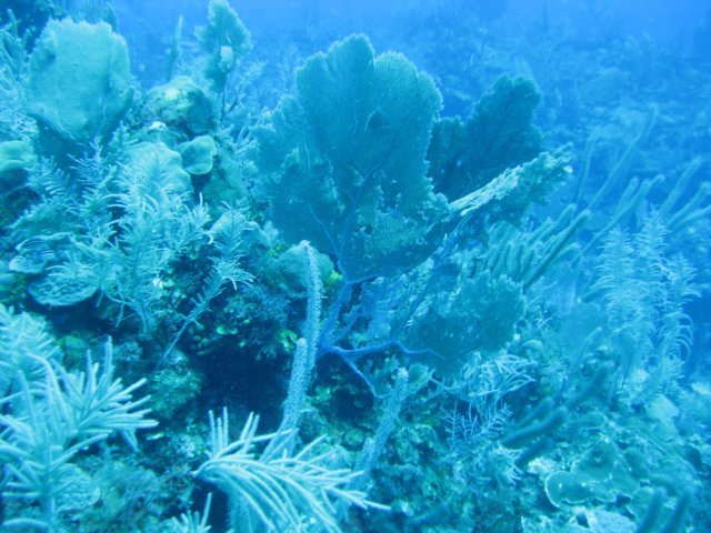 img_3315.jpg