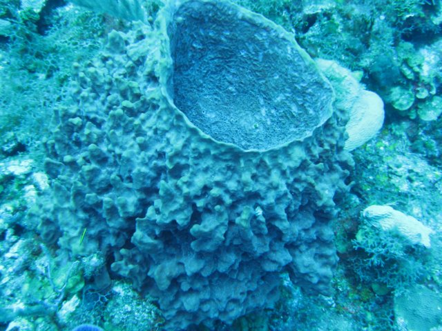 img_3318.jpg