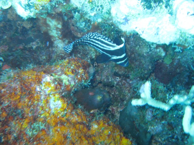 img_3327.jpg