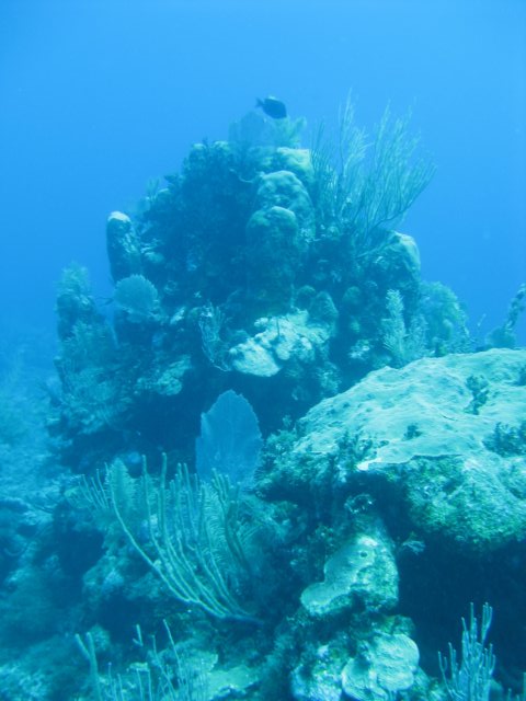 img_3331.jpg