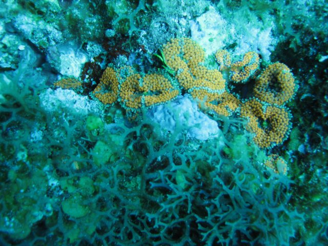 img_33322.jpg