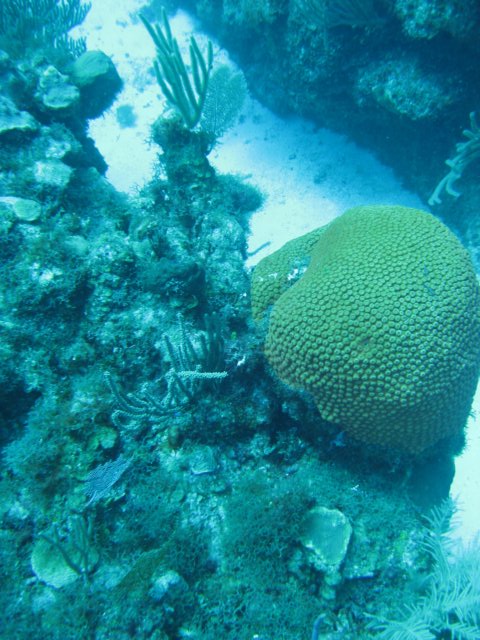 img_3335.jpg