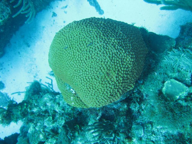 img_3336.jpg