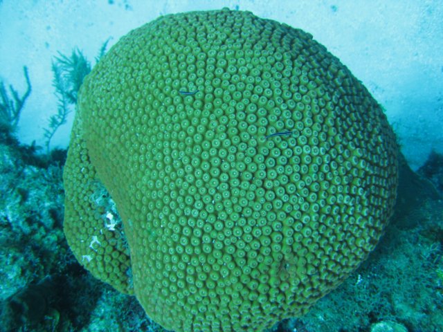 img_3338.jpg
