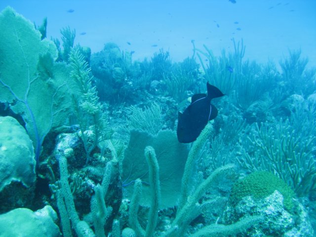 img_3342.jpg