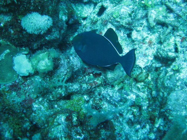 img_3344.jpg