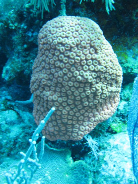 img_3361.jpg