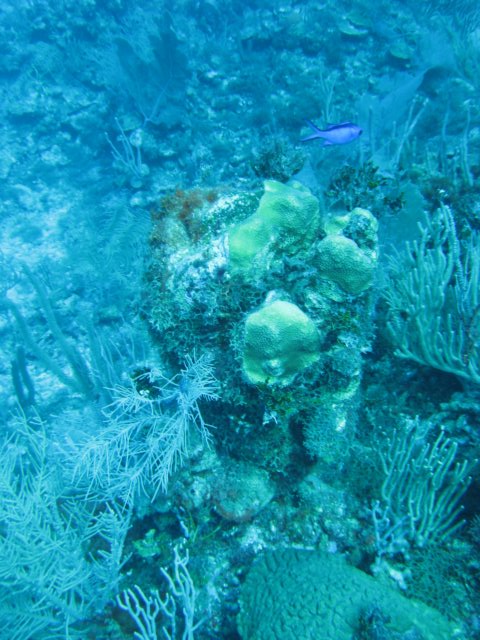 img_3365.jpg