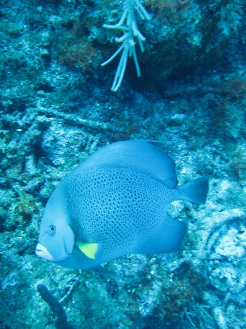 img_3381.jpg