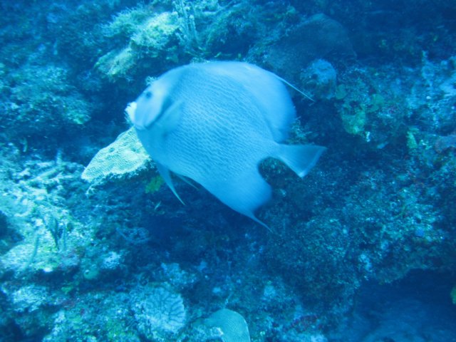 img_3383.jpg