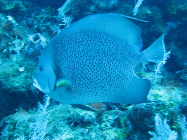 img_3386.jpg