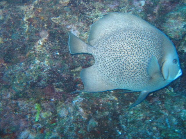 img_3388.jpg