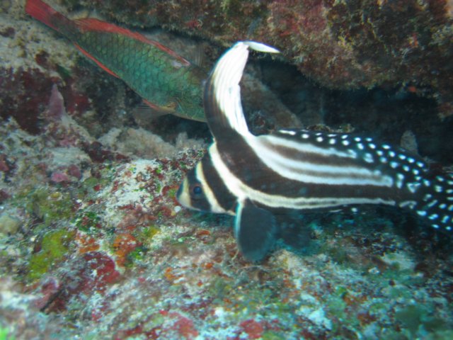 img_33892.jpg