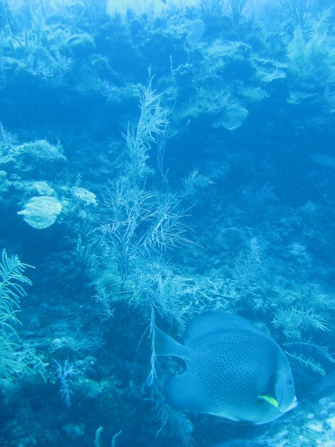 img_3391.jpg