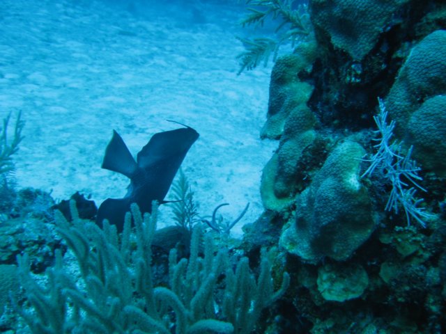 img_3394.jpg