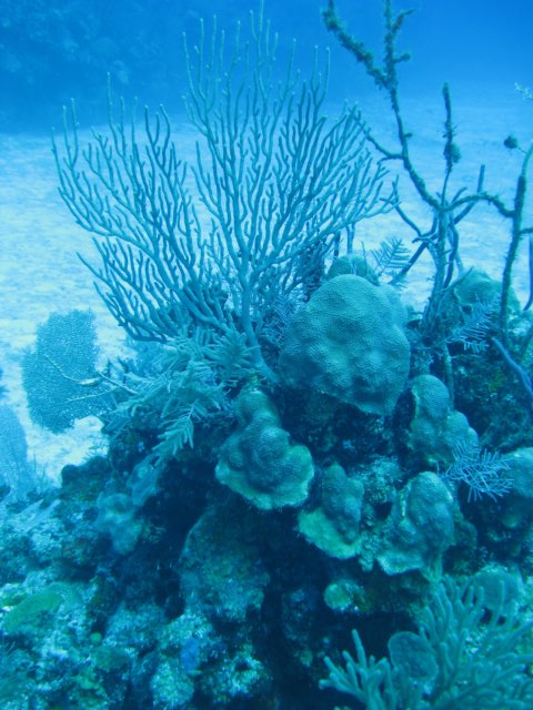 img_3395.jpg