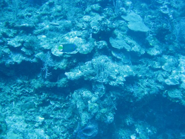 img_3396.jpg