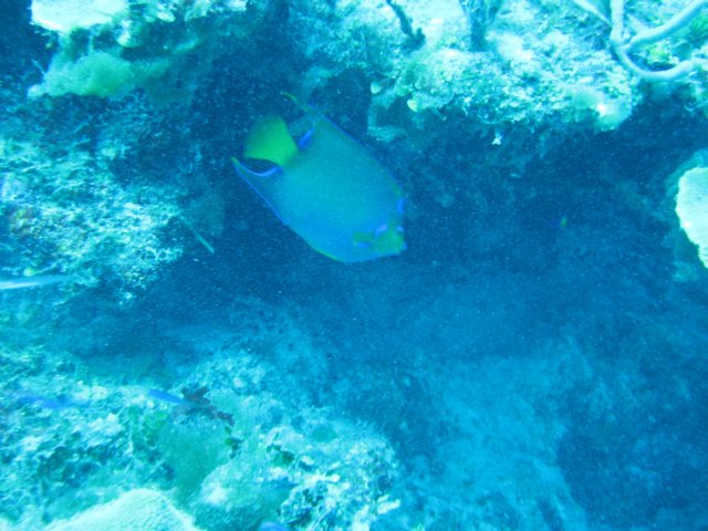 img_3398.jpg
