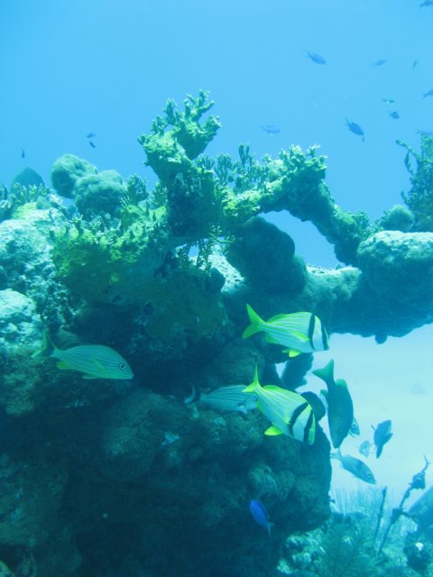 img_33982.jpg