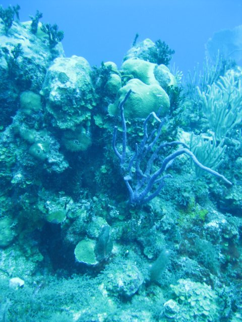 img_3403.jpg