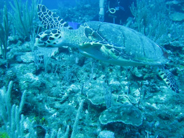 img_3412.jpg